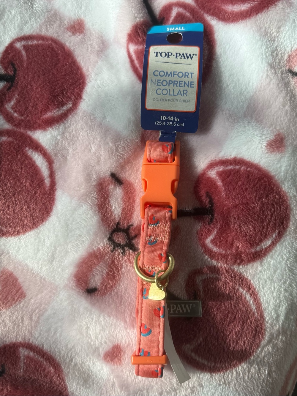 Top Paw Small Dog Collar